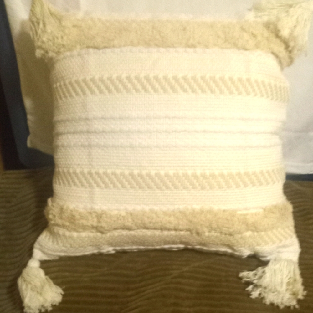 Set of 2 Accent Pillow Covers